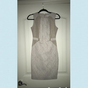 Calvin Klein Professional Tight-Fitting Dress